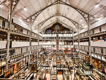 Load image into Gallery viewer, Oxford Museum of Natural History
